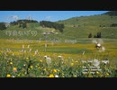 Welcome (202306)