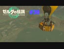ゼルダの伝説 ティアキン #38 ウィッダの独り立ち イチカラ村2 ティアーズ オブ ザ キングダム