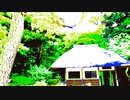 #チ♪ユ♪リ #Chiyuri♪Nagayama
