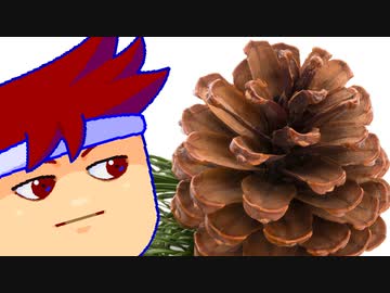 バズぼっくり編。【バーチャルいいゲーマー佳作選】