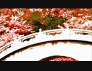#チ♪ユ♪リ #Chiyuri♪Nagayama