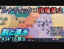 指輪縛りで挑戦するルナティックエンゲージ#34