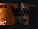 【実況】飽く無きオレらに挑戦を、彷徨うゾンビに永眠を #2【Dying Light】