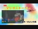 【マリオストーリー】進め！まよいの森【part11】