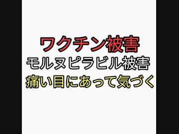 ワクチンの危険性やモルヌピラビルのヤバさは、痛い目にあってようやく気づける