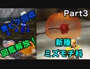 ミズモチ科だと？！【ピクミン4】Part3