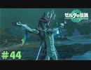 その口調は健在なんですね　「ゼルダの伝説～ティアーズ・オブ・ザ・キングダム」　＃44