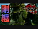 [MHR-S]王域三公現る〔初見プレイ〕～part5