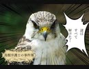 【配信アーカイブ】鳥類弁護士の事件簿 Ep.1 #2【セリフ読み上げゲーム実況】