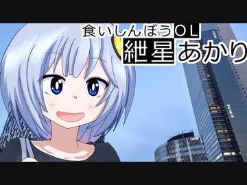 01｜味噌煮込みうどん｜食いしんぼうOL紲星あかり