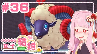 【ネタバレあり】茜ちゃんは女の子と結婚したい！#36【ルーンファクトリー5】