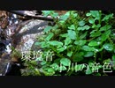 【じょんじょろじょろ】小川の音と川に咲く花あとカニ【癒し的な音】