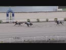 2023年7月23日高知競馬2R ２歳新馬 弐 ネバールーズロコ