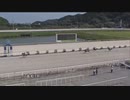 2023年7月23日高知競馬1R ２歳新馬 参 シュクメルリ