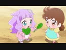 ひなたのひろがるスカイ！プリキュア感想～２５