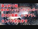 【海上釣り堀】福井県フィッシングレインボーで巨大な真鯛やシマアジ、カンパチ釣れます！