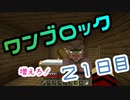 【２１日目】ワンブロックでハードコアな世界を生き残る