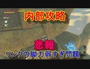 謎解きに弱すぎる男の抗い 名作謎解きゲーをIQ3がゆく[ゼルダの伝説BotW]実況プレイ40