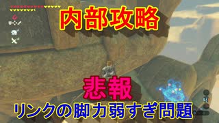 謎解きに弱すぎる男の抗い 名作謎解きゲーをIQ3がゆく[ゼルダの伝説BotW]実況プレイ40