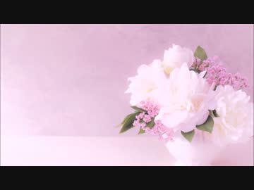 【腐向け】BL作品切り抜き動画_②【BLCD】