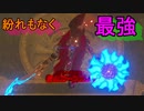 謎解きに弱すぎる男の抗い 名作謎解きゲーをIQ3がゆく[ゼルダの伝説BotW]実況プレイ42