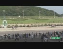 2023年7月23日佐賀競馬4R ＦＵＪＩ協賛 ＦＵＪＩオンラインストアＯＰＥＮ記念レース(2歳-2組) ヴァイスネリケ