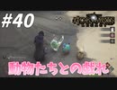 新しい動物の仲間たち【ホグワーツ・レガシー】#40