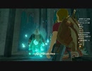 #5【ゼルダの伝説 ブレス オブ ザ ワイルド】おじいちゃんの正体！