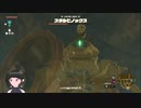 【ゼルダの伝説】周回遅れのティアキン Part52【TotK】