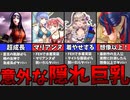【ゆっくり解説】ファイアーエムブレムの隠れ巨乳8選