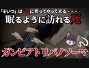 【ゆっくり解説】眠るように死ぬ病!? ガンビアトリパノソーマについて