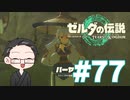【実況プレイ】 ゼルダの伝説 ティアーズオブザキングダム part77 【いちご大福】