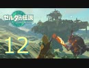 史上最強のバカ勇者による『ゼルダの伝説　ティアーズ　オブ　ザ　キングダム』　part12