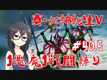 【真・女神転生V】1悪魔1戦闘縛り part40.5【花隈千冬実況】