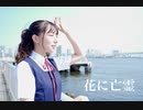 【花村ほのか】花に亡霊/ヨルシカ【踊ってみた】