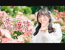 【おとみ】恋の魔法【踊ってみた】