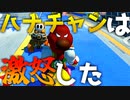 激昂したハナちゃんがやばすぎるｗｗｗ【マリオカート8DX】