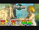 【ゼルダの伝説TOTK】この平和が続けば良かったのになぁ…【ティアキン】#72