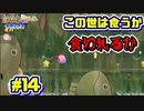 【星のカービィWiiデラックス】宇宙翔ける船と怪しいトモダチ_Part14【実況】