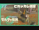 #077【ゼルダの伝説ティアーズオブザキングダム】ちょっと世界を翔けてくる【実況プレイ】