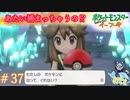 タイプワイルド襲来＃37【Let's Goイーブイ】