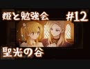 【火山の娘実況】プリンセスをメーカーしたい #12 聖光の谷攻略