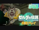 【実況】大空を翔る。ゼルダの伝説ティアーズオブザキングダム 実況プレイ！Part63【ゼルダの伝説TotK】