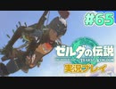 【実況】大空を翔る。ゼルダの伝説ティアーズオブザキングダム 実況プレイ！Part65【ゼルダの伝説TotK】