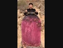ホモと見るクソデカアイスキャンディー