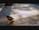 Twitter凍結されました/GPS(たけのこ)feat.IA
