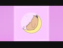 MISIA - 飛び方を忘れた小さな鳥