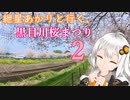 紲星あかりと行く、黒目川桜まつり２（埼玉県新座市）
