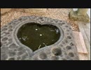 古賀神社＠20230614 福岡県古賀市iPhoneSE2 楽天回線またはau回線