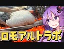 ノーイベント グッドバイク #05 ロモアルトラポ...? キャンプ in 恵那